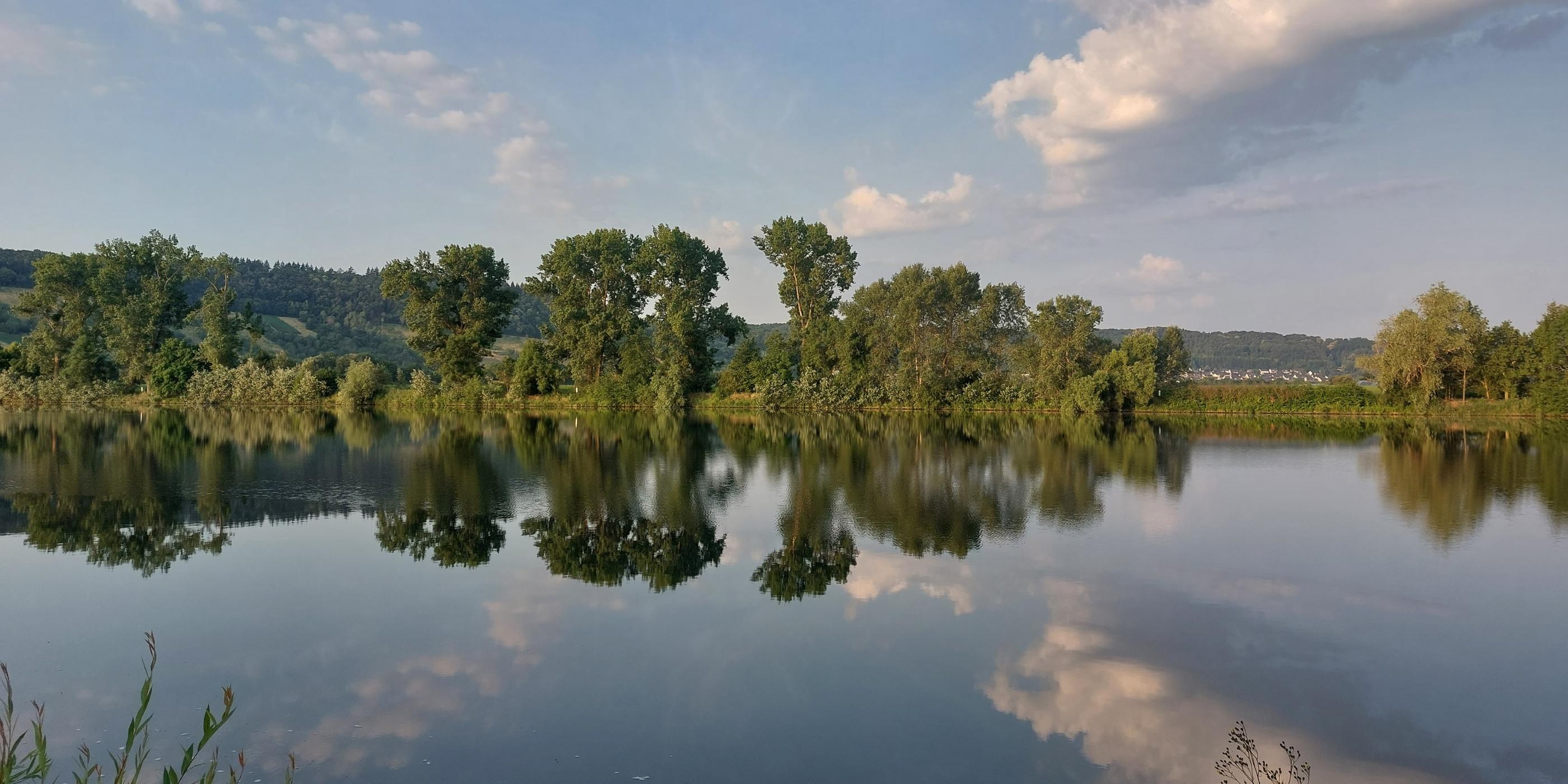 Blick von einer Moselseite zur anderen. Die Bäume am Uferrand spiegeln sich im Wasser. Am Himmel sind einige Wölkchen zu sehen