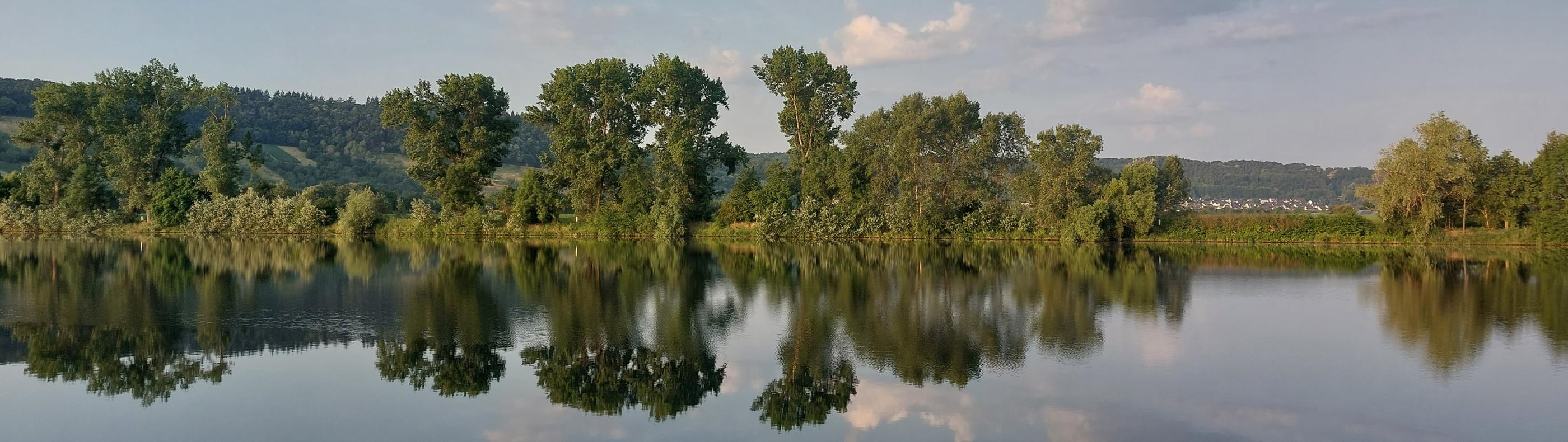 Blick von einer Moselseite zur anderen. Die Bäume am Uferrand spiegeln sich im Wasser. Am Himmel sind einige Wölkchen zu sehen