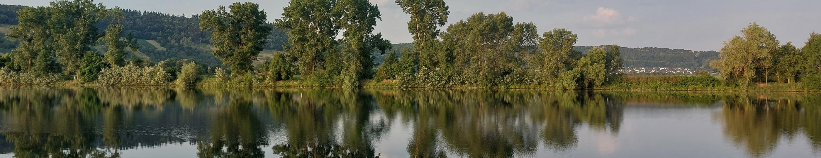 Blick von einer Moselseite zur anderen. Die Bäume am Uferrand spiegeln sich im Wasser. Am Himmel sind einige Wölkchen zu sehen