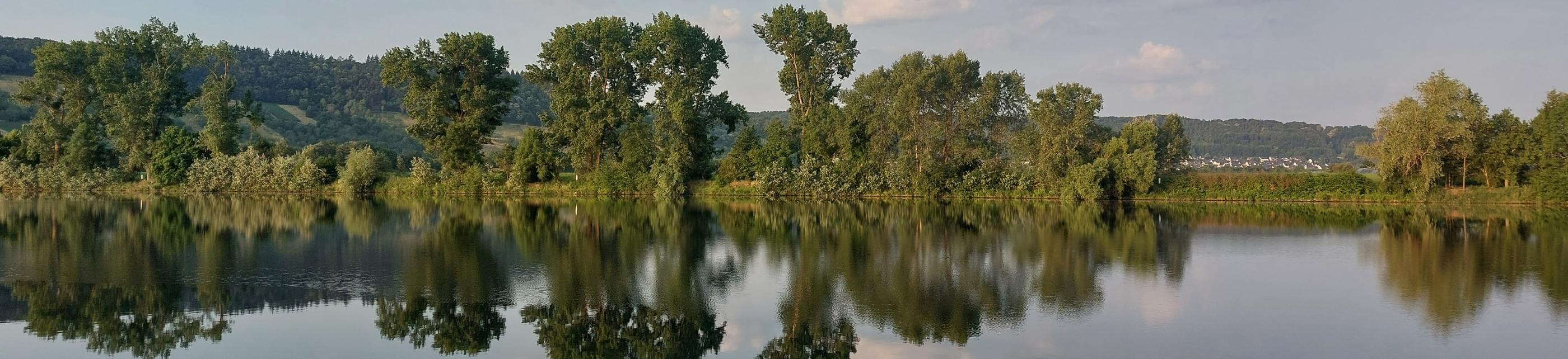 Blick von einer Moselseite zur anderen. Die Bäume am Uferrand spiegeln sich im Wasser. Am Himmel sind einige Wölkchen zu sehen