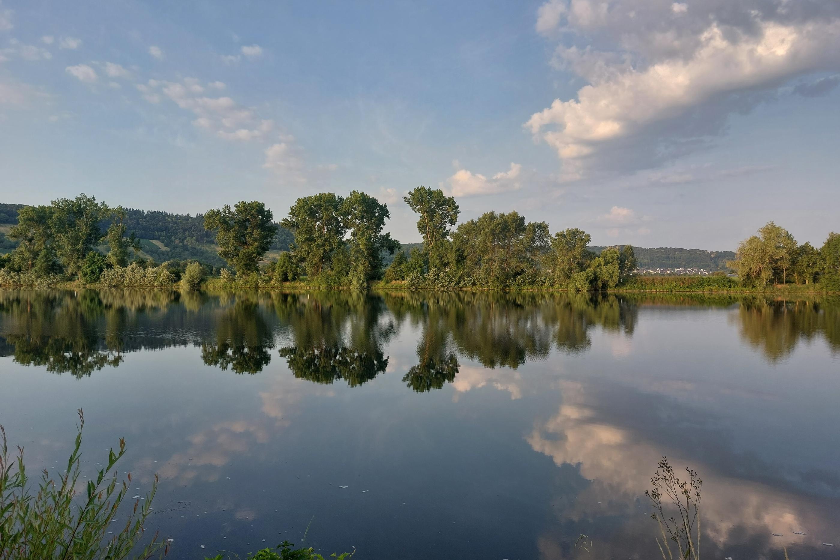 Blick von einer Moselseite zur anderen. Die Bäume am Uferrand spiegeln sich im Wasser. Am Himmel sind einige Wölkchen zu sehen