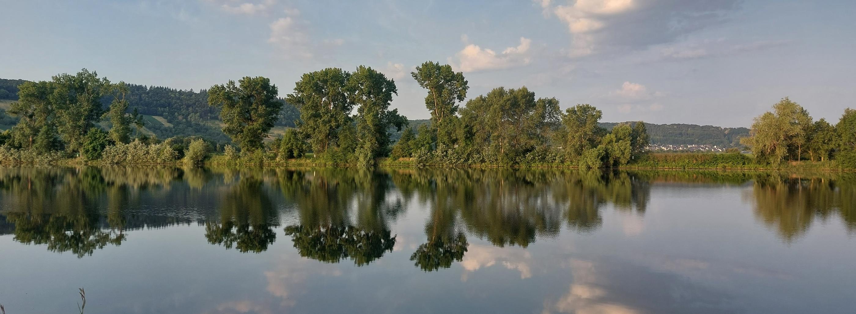 Blick von einer Moselseite zur anderen. Die Bäume am Uferrand spiegeln sich im Wasser. Am Himmel sind einige Wölkchen zu sehen