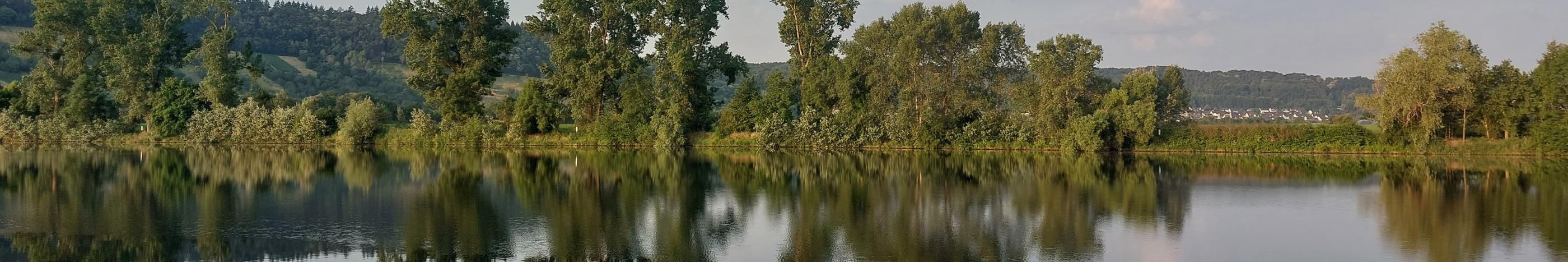 Blick von einer Moselseite zur anderen. Die Bäume am Uferrand spiegeln sich im Wasser. Am Himmel sind einige Wölkchen zu sehen