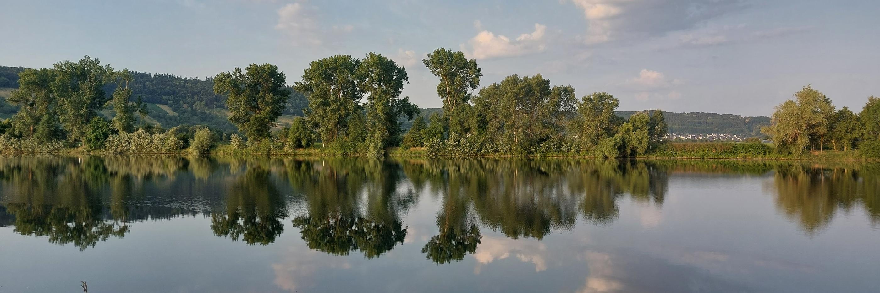 Blick von einer Moselseite zur anderen. Die Bäume am Uferrand spiegeln sich im Wasser. Am Himmel sind einige Wölkchen zu sehen