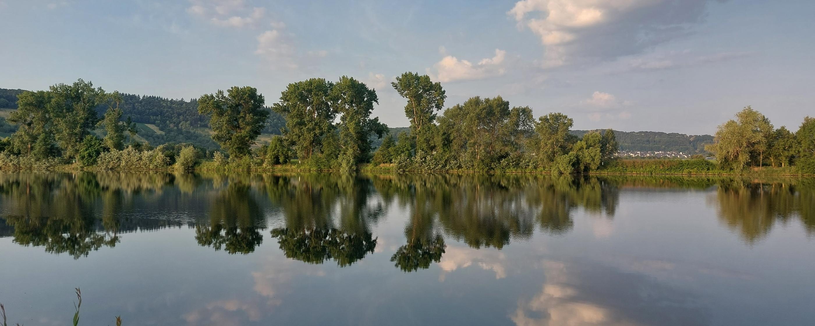 Blick von einer Moselseite zur anderen. Die Bäume am Uferrand spiegeln sich im Wasser. Am Himmel sind einige Wölkchen zu sehen