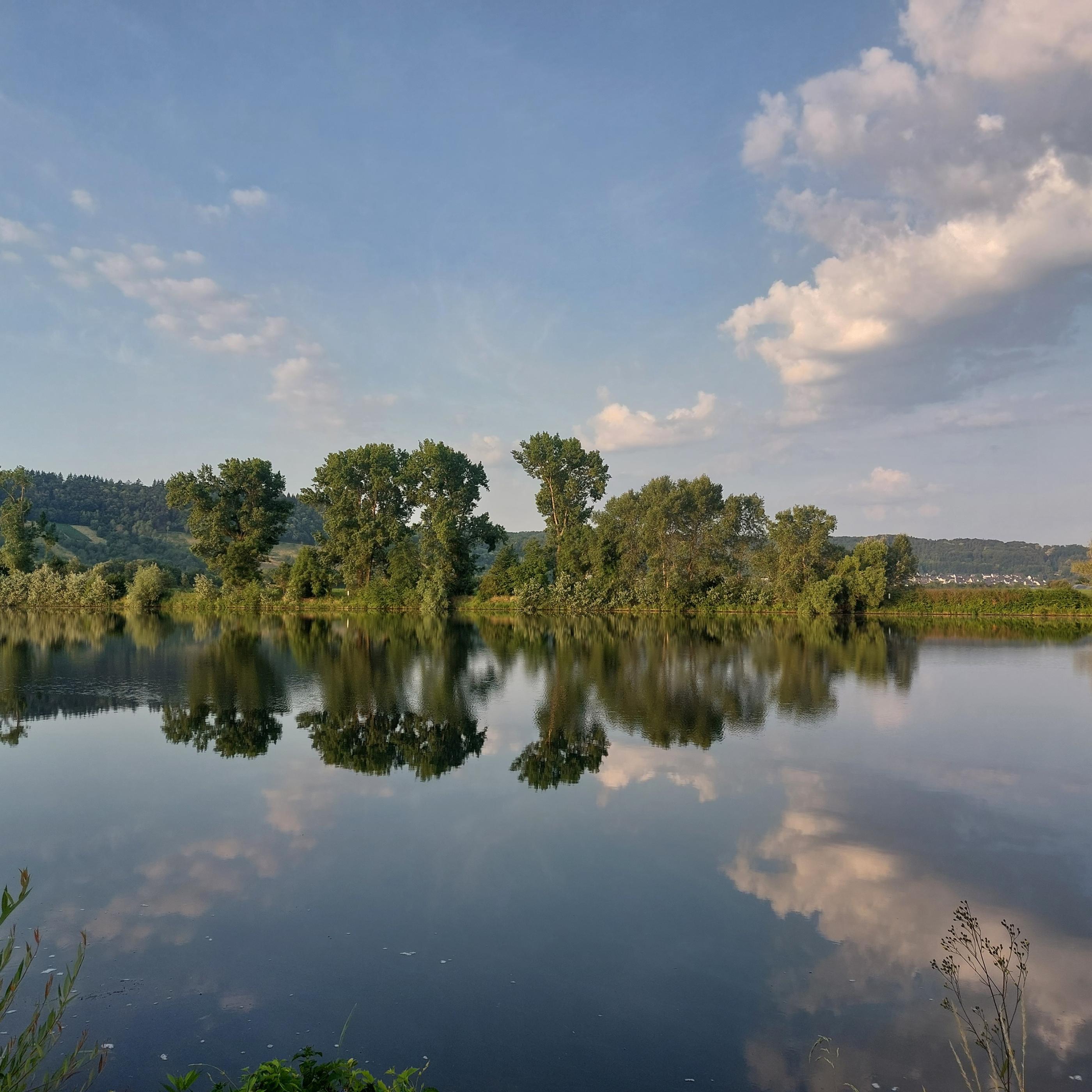 Blick von einer Moselseite zur anderen. Die Bäume am Uferrand spiegeln sich im Wasser. Am Himmel sind einige Wölkchen zu sehen