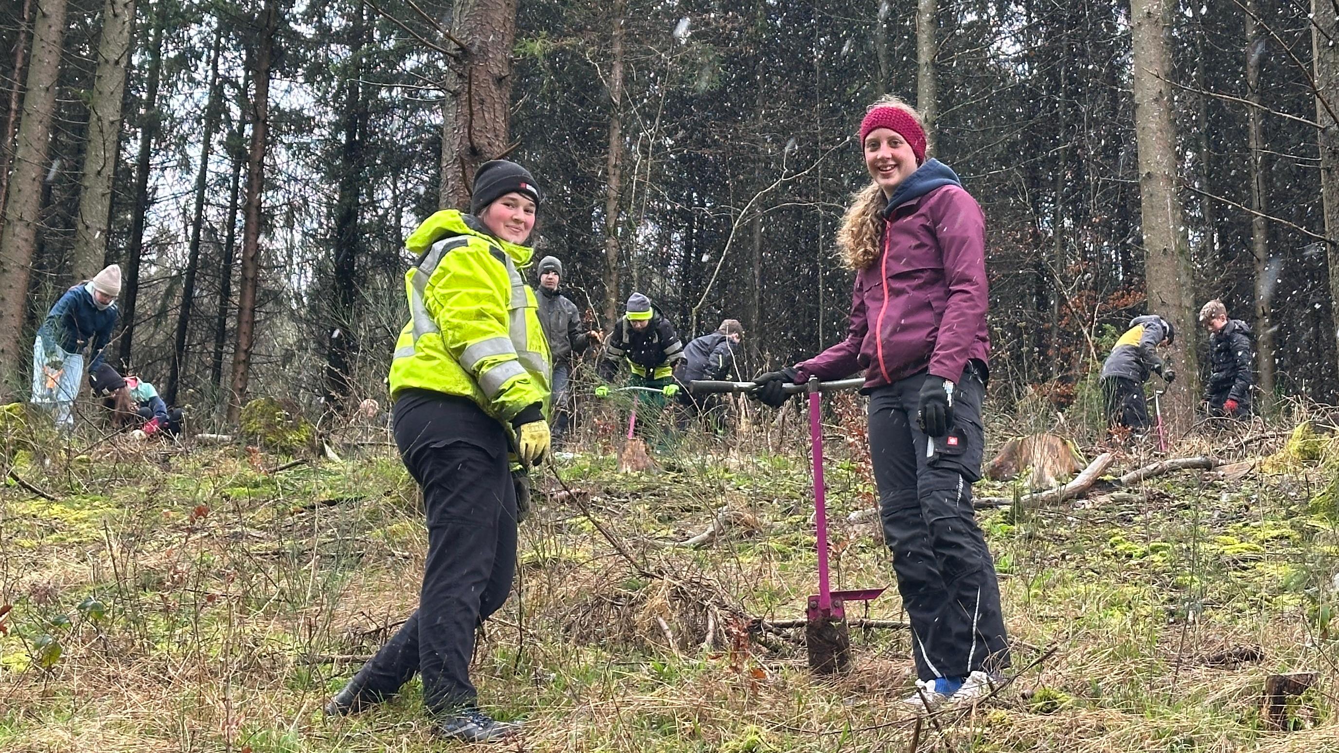 Lara und Luci sind im Wald und graben Erdlöcher aus, um die Setzlinge einzupflanzen.